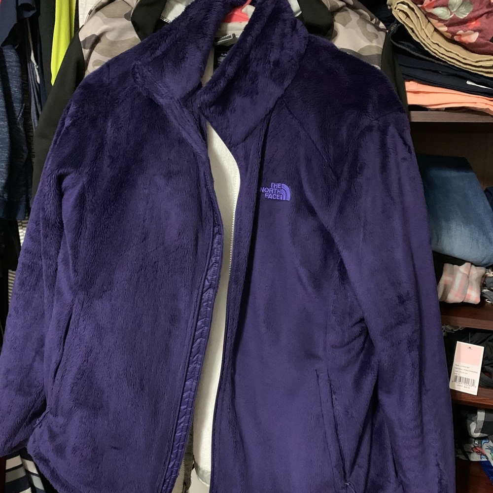 Purple Jacket